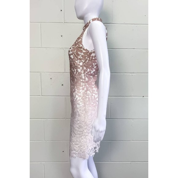 BNWT QUIZ Cream And Mocha Lace Ombre Bodycon Dress - Size 10 - Picture 3 of 6